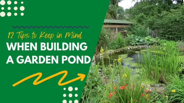 'Video thumbnail for 12 Tips to Keep in Mind When Building a Garden Pond'