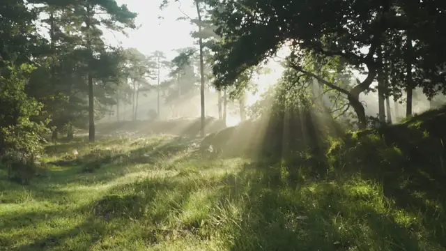 'Video thumbnail for 🙏 Mensajes cristianos de buenos días 🙏'