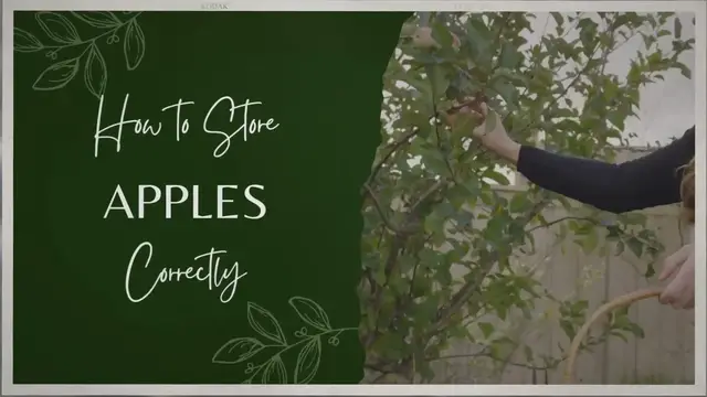 'Video thumbnail for How to Store Apples Correctly'