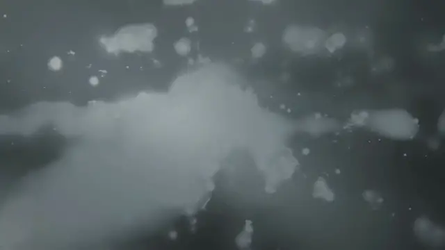 'Video thumbnail for What Was it Like Flying the Stuka: The Battle of Britain’s Air Terror'