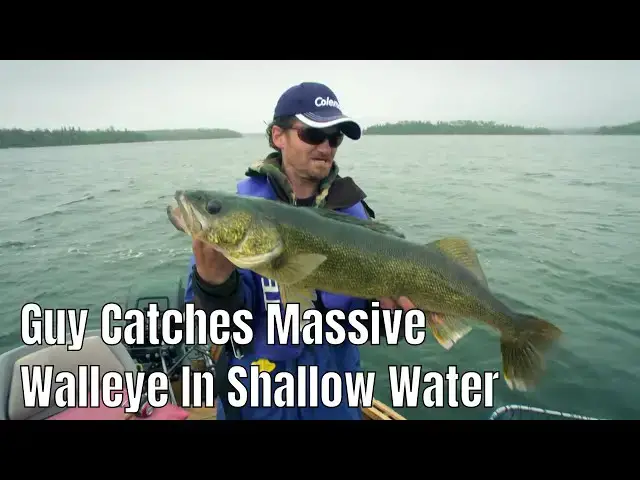 'Video thumbnail for Guy Catches Massive Walleye In Ultra Shallow Water | Fish'n Canada'