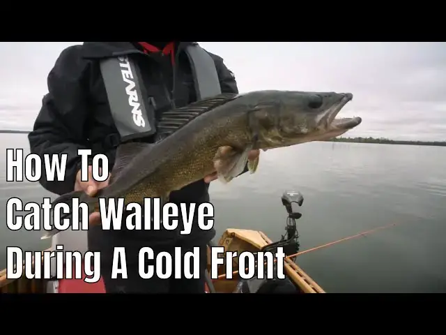 'Video thumbnail for How To Catch Walleye During A Cold Front |  Fish'n Canada'