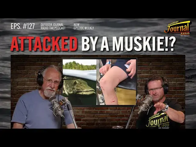 'Video thumbnail for Attacked by a Muskie!? Interview with Muskie Attack Victim | Outdoor Journal Radio ep. 127'