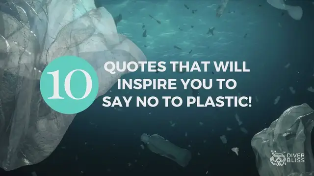 'Video thumbnail for Quotes to inspire you to say no to plastic and to live more sustainably'