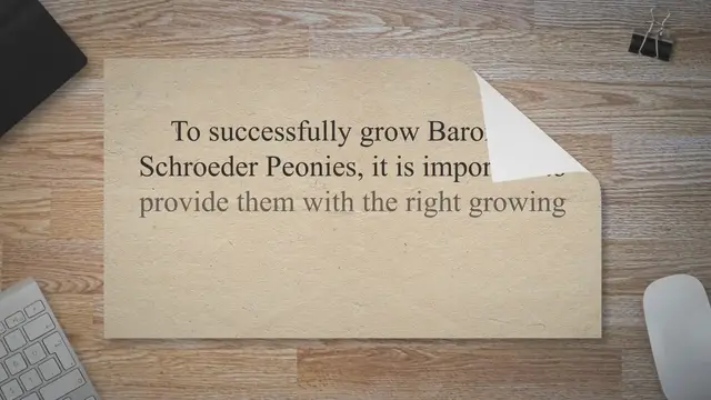 'Video thumbnail for Baroness Schroeder Peony: Aristocratic Elegance Unfurled'