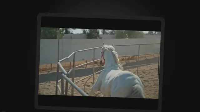 'Video thumbnail for Thoroughbreds Horse Breed | Comprehensive Insight into a Thoroughbred'