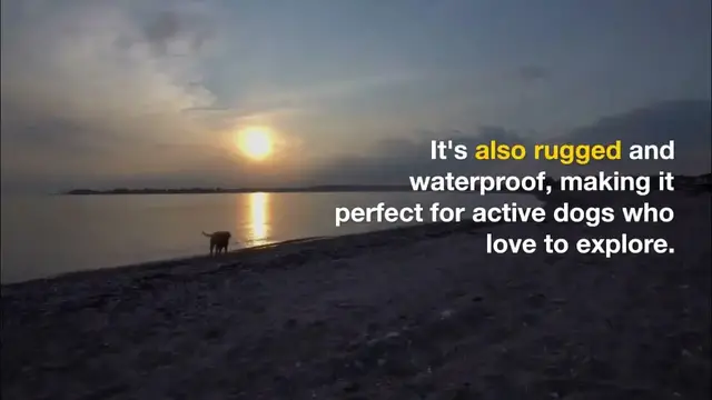 'Video thumbnail for Discover the Best Apple Dog Tracker for Keeping Your Pet Safe and Secure'