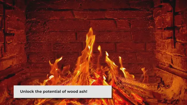 'Video thumbnail for Wood Ash: Practical Uses for Your Home and Garden'