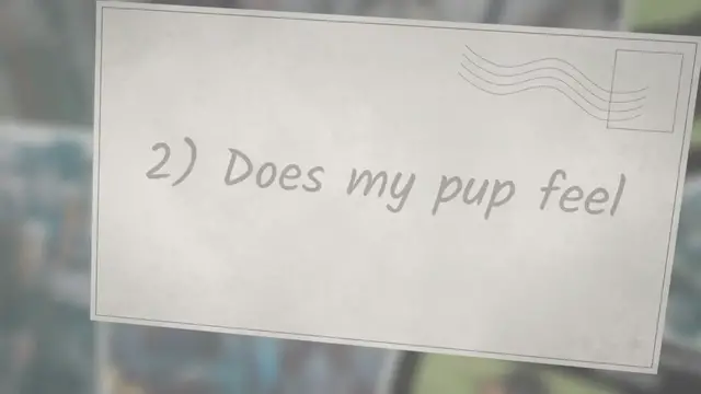 'Video thumbnail for How to Tell if a Dachshund Puppy is Long-Haired?'