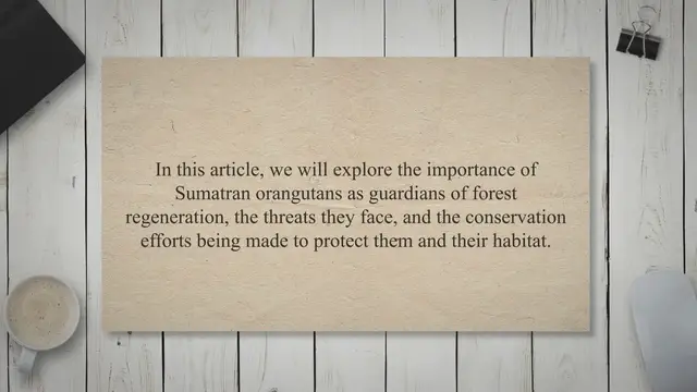 'Video thumbnail for Guardians of the Forest: The Vital Role of Sumatran Orangutans in Regeneration and Conservation Efforts'
