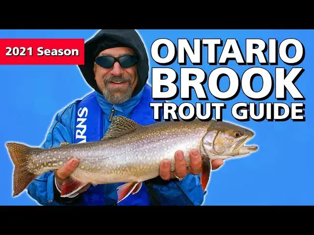 'Video thumbnail for Ontario Brook Trout Guide | Fish'n Canada'