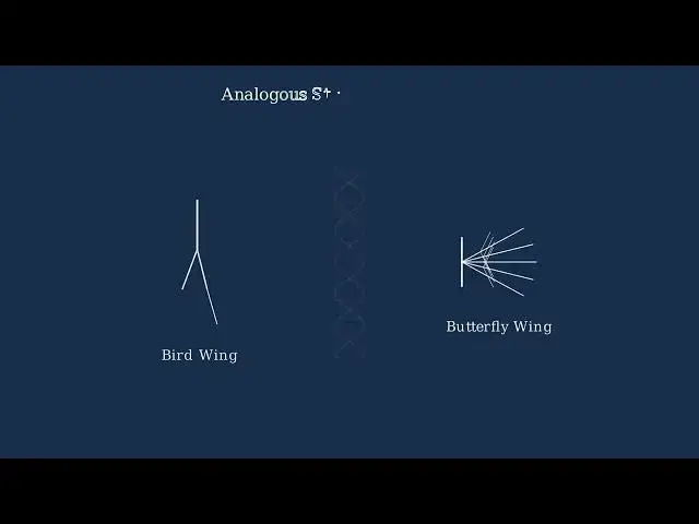 'Video thumbnail for How Embryos Evolve Over Time'