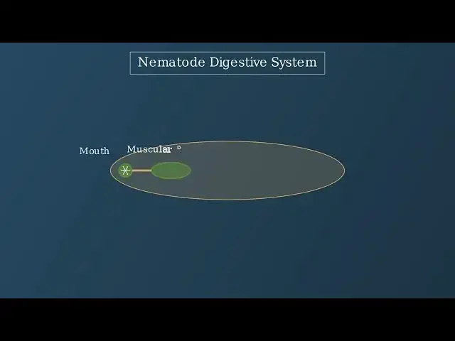 'Video thumbnail for Nematodes - The Unsegmented Wonders of Nature'