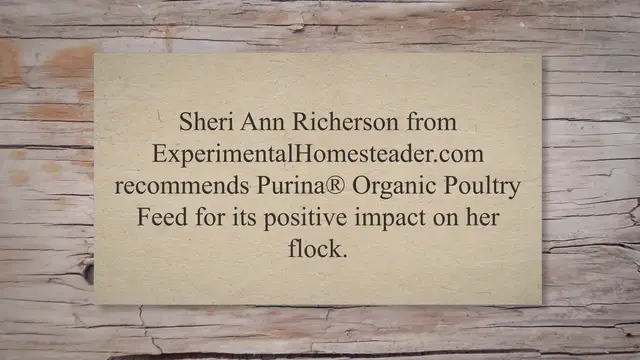 'Video thumbnail for 6 Things You Need To Know Before Raising Backyard Chickens'