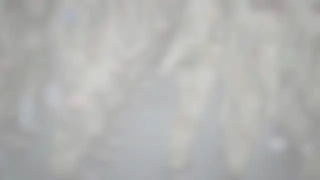 'Video thumbnail for The Battle of Bosworth'