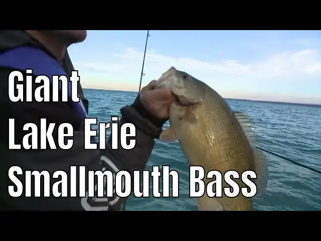 'Video thumbnail for Catching Giant Fall Smallmouth Bass on Lake Erie | Fish'n Canada'