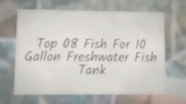 'Video thumbnail for Top 08 Fish For 10 Gallon Freshwater Fish Tank'