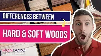 'Video thumbnail for Differences Between Hard And Soft Woods'