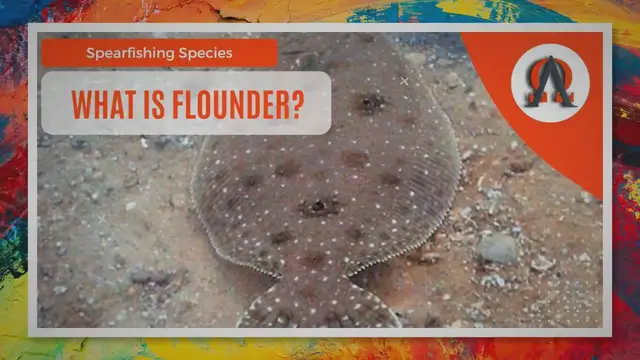 'Video thumbnail for What Is Flounder?'