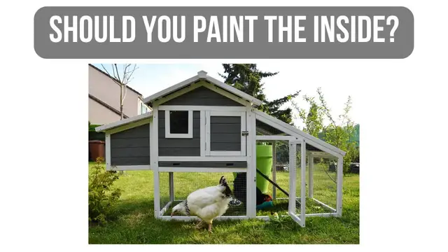 'Video thumbnail for Pros and Cons of Painting the Inside of the Chicken Coop'