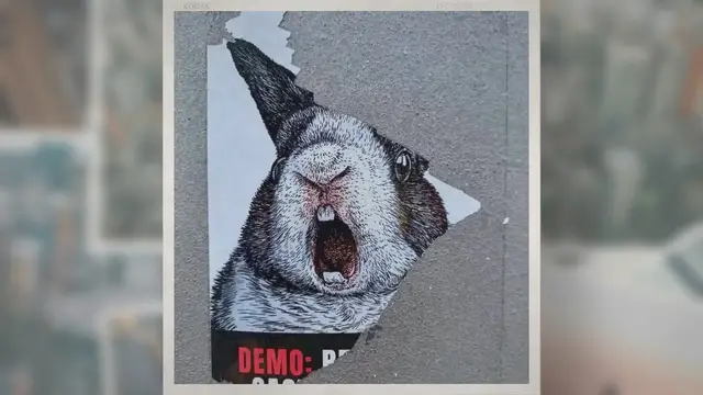 'Video thumbnail for These Countries Have Banned Animal Testing (2021)'