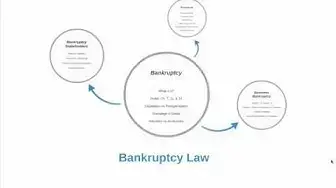 'Video thumbnail for Bankruptcy Law (Intro)'