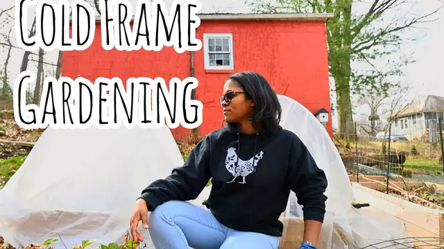 'Video thumbnail for WARMING UP MY RAISED BEDS FOR AN EARLY SPRING CROP | COLD FRAME GARDENING | SPRING GARDEN'