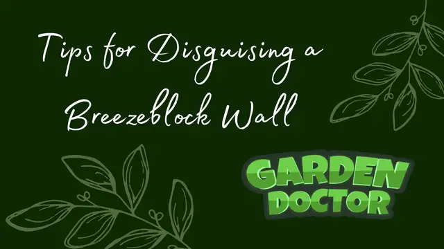 'Video thumbnail for How to Disguise a Breeze Block Wall?'