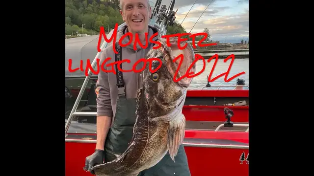 'Video thumbnail for Monster Lingcod 2022'