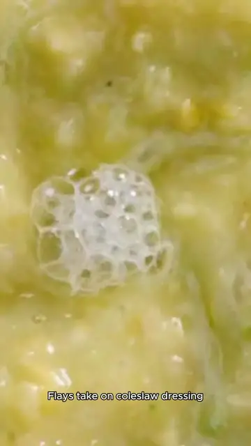 'Video thumbnail for cole slaw dressing recipe'