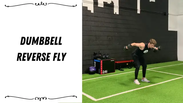 'Video thumbnail for Dumbbell Reverse Fly'