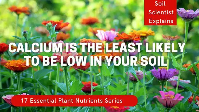 'Video thumbnail for Calcium For Plants. Why Calcium Is Abundant But Not Available. Plantmas ep 4.'