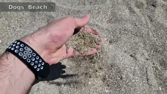 'Video thumbnail for Dogs' Beach Agua Amarga Alicante. -The Sand-'