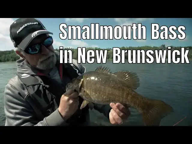 'Video thumbnail for Smallmouth Bass In New Brunswick | Fish'n Canada'