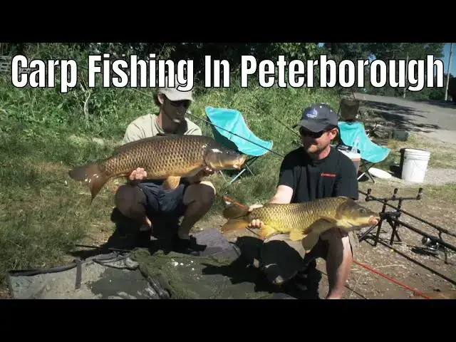 'Video thumbnail for Urban Carp Fishing In Peterborough, Ontario | Fish'n Canada'