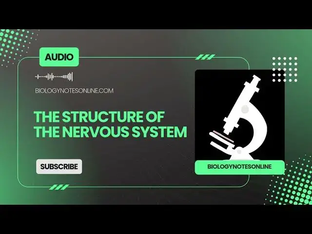 'Video thumbnail for The Structure of the Nervous System'