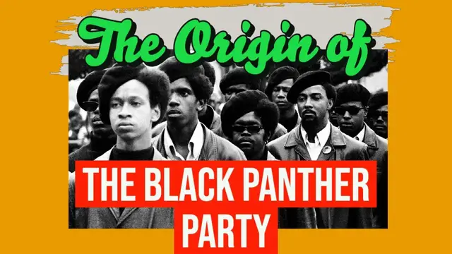 'Video thumbnail for Why did the Black Panther Party Fall Apart?'
