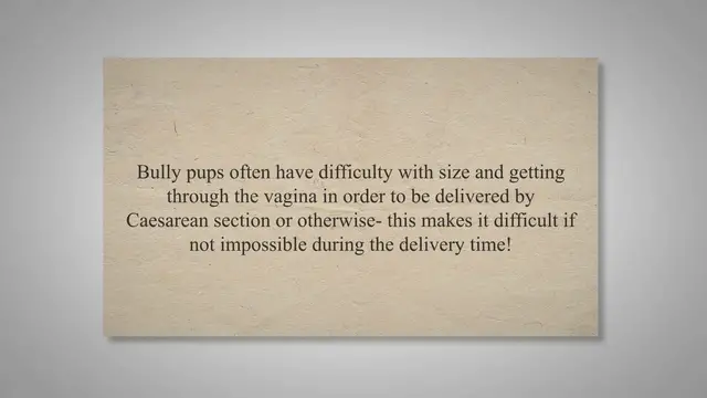 'Video thumbnail for Can English Bulldogs Give Birth Naturally? C- Section'