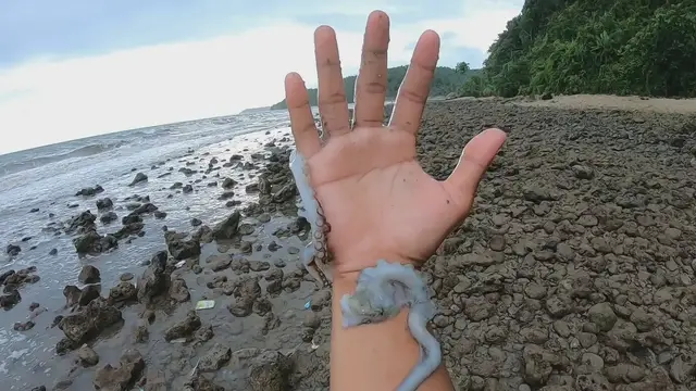'Video thumbnail for Can I Survive This Ocean Creature?'