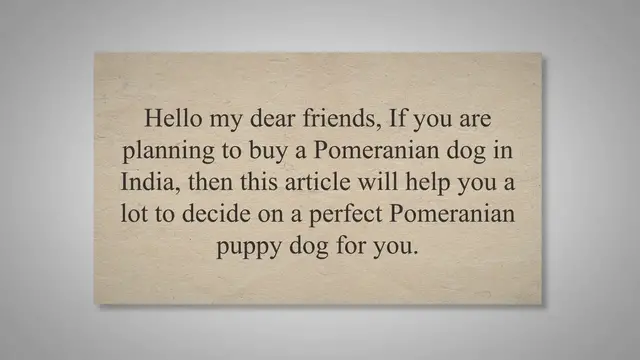 'Video thumbnail for Pomeranian Dog Price In India In 2022 – Temperament, Vet, At Best Price And More'