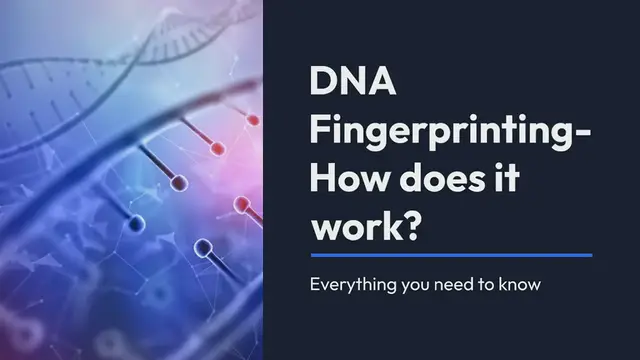 'Video thumbnail for DNA Fingerprinting- How does it works?'