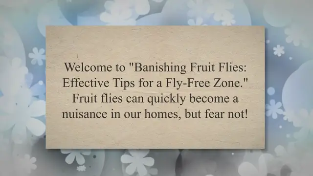 'Video thumbnail for Banishing Fruit Flies: Effective Tips for a Fly-Free Zone'