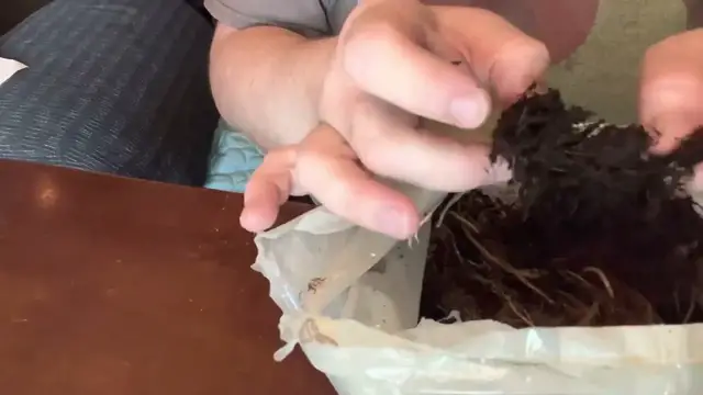 'Video thumbnail for Gurney’s Seed & Nursery Co. Unboxing Video Part 2'