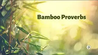 'Video thumbnail for Bamboo Proverbs'