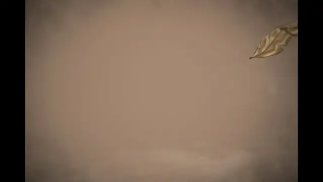 'Video thumbnail for Él es PigJao, la nueva mascota del Deportes Tolima'