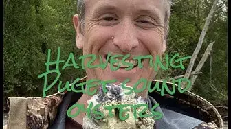 'Video thumbnail for Puget Sound Oyster Harvesting'