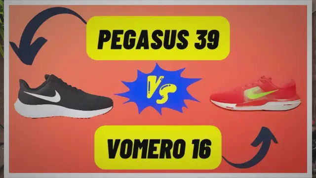 'Video thumbnail for Pegasus 39 VS Vomero 16: which Is Better?'