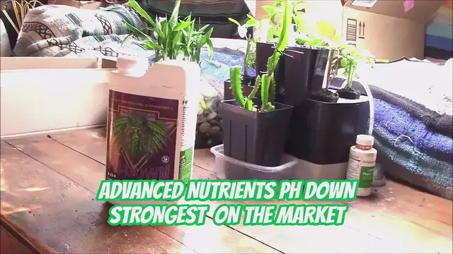 'Video thumbnail for ADVANCED NUTRIENTS STRONGEST PH DOWN ON THE MARKET'