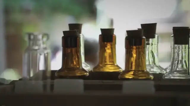 'Video thumbnail for Essential Oils Versus Bed Bugs: What You Must Know'