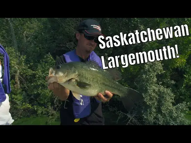 'Video thumbnail for Largemouth Bass In Saskatchewan | Fish'n Canada'
